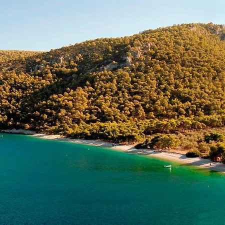 Willa Soligia Thalassa